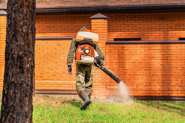 Trusted Rodent Control service in Shasta Lake, CA - Nex Pest Control
